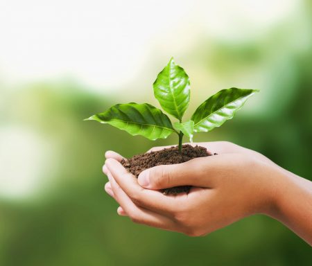 green-bio
